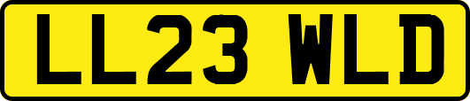 LL23WLD