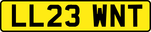LL23WNT