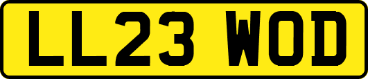 LL23WOD