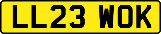 LL23WOK