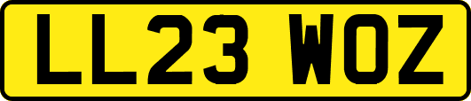 LL23WOZ