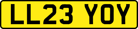 LL23YOY