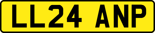 LL24ANP