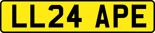 LL24APE