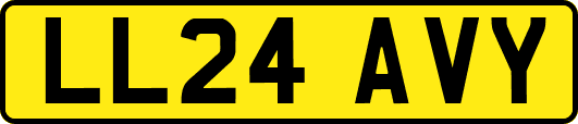 LL24AVY