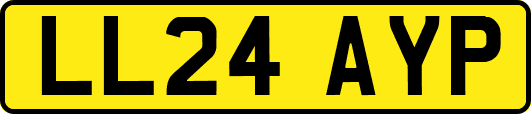 LL24AYP