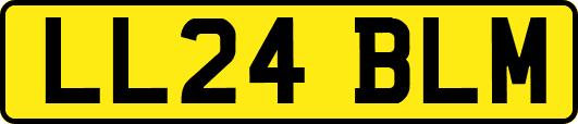 LL24BLM