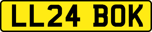 LL24BOK