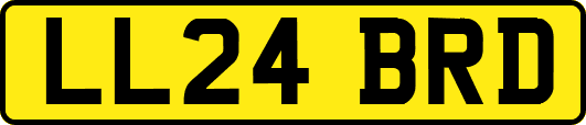 LL24BRD
