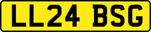 LL24BSG