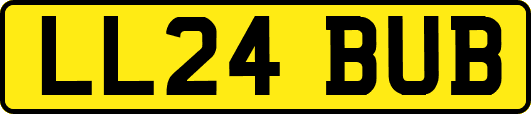 LL24BUB