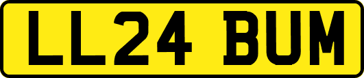 LL24BUM