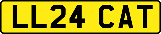 LL24CAT