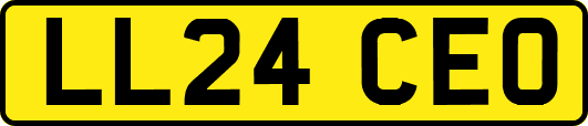LL24CEO