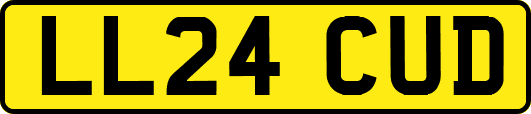 LL24CUD
