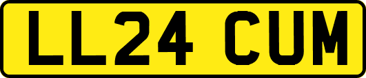 LL24CUM