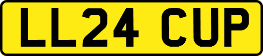 LL24CUP