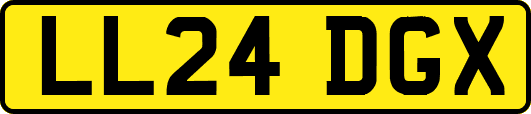 LL24DGX