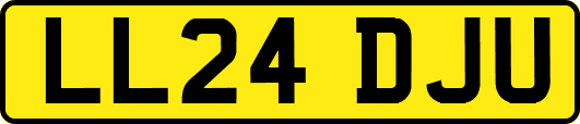 LL24DJU