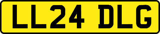 LL24DLG