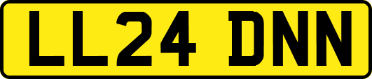 LL24DNN
