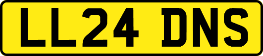 LL24DNS