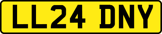 LL24DNY