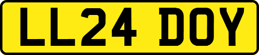 LL24DOY