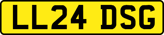 LL24DSG