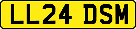 LL24DSM