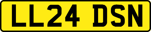 LL24DSN