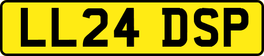 LL24DSP