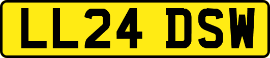 LL24DSW