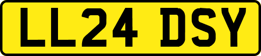 LL24DSY