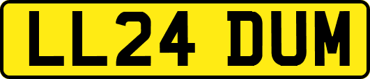 LL24DUM