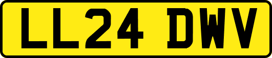 LL24DWV