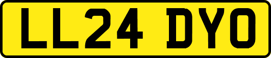 LL24DYO