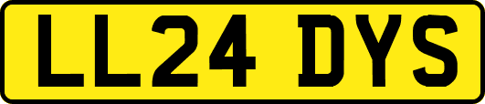 LL24DYS