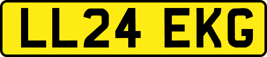 LL24EKG