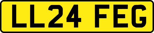 LL24FEG
