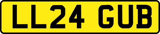 LL24GUB