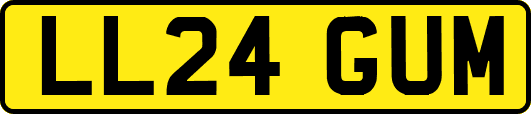 LL24GUM