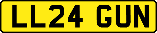 LL24GUN