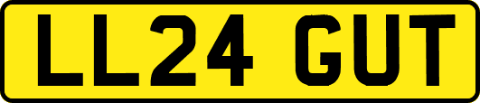 LL24GUT