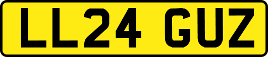 LL24GUZ
