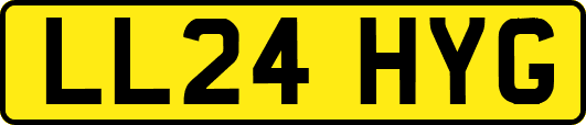LL24HYG