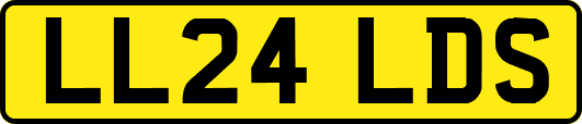 LL24LDS