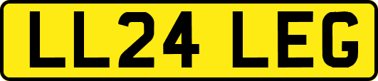 LL24LEG
