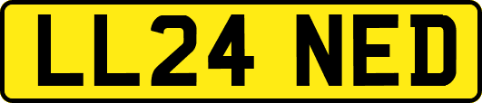 LL24NED