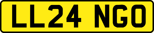 LL24NGO